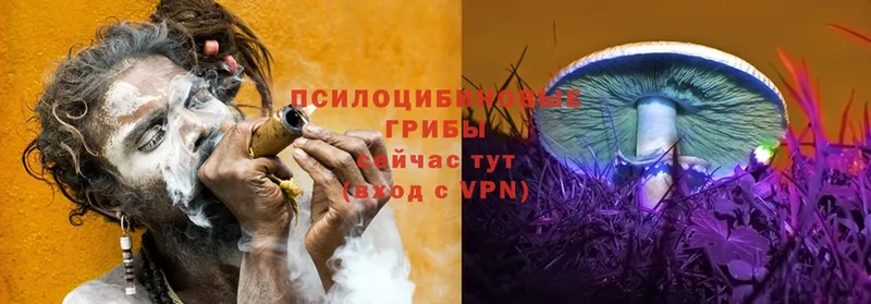 Псилоцибиновые грибы мухоморы  купить наркотики цена  Можайск 